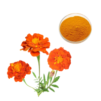 Poultry Feed Chickens Powder Lutein 5% Zeaxanthin5% Raw Material Extraction of Marigold Oleoresin Marigold Flower Extract