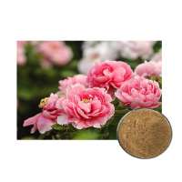 Hot Selling Natural and Organic Peony Root Extract Powder