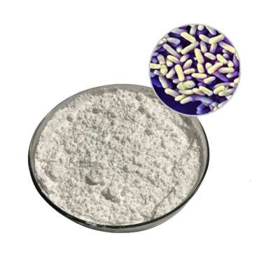 Factory supply  Bifidobacterium Infantis