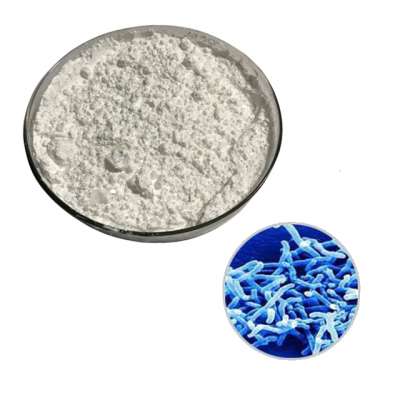 Wholesale Price Bifidobacterium Longum powder