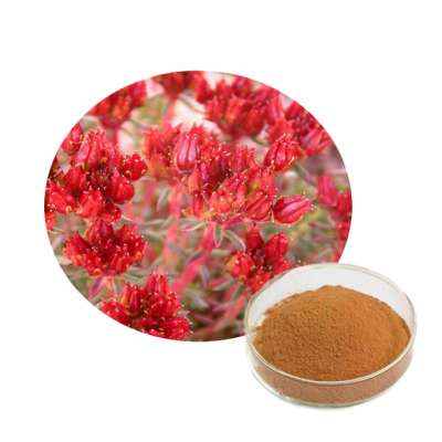 Natural 100% pure Rhodiola Rosea Extract Rhodiola Rosea Root Powder