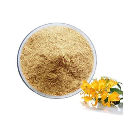 Natural Dried Honeysuckle Flower Extract Foods High in Chlorogenic Acid