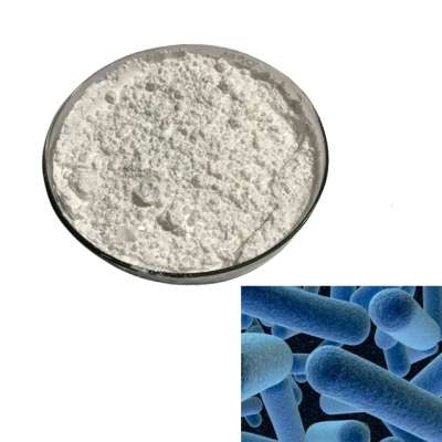 Wholesale Price Lactobacillus Bulgaricus